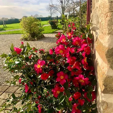 Greener Pastures - Normandy Self Catering Apartment
