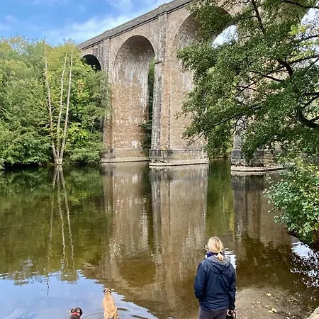 Daire Greener Pastures - Normandy Self Catering La Chapelle-Engerbold