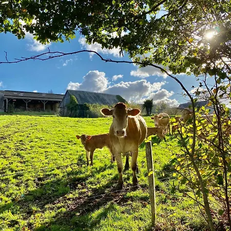 Daire Greener Pastures - Normandy Self Catering La Chapelle-Engerbold