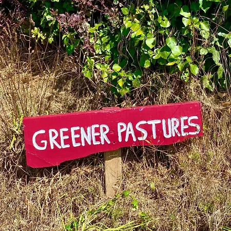 Greener Pastures - Normandy Self Catering * La Chapelle-Engerbold