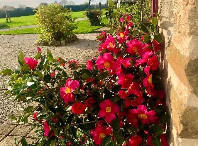 Greener Pastures - Normandy Self Catering Appartement