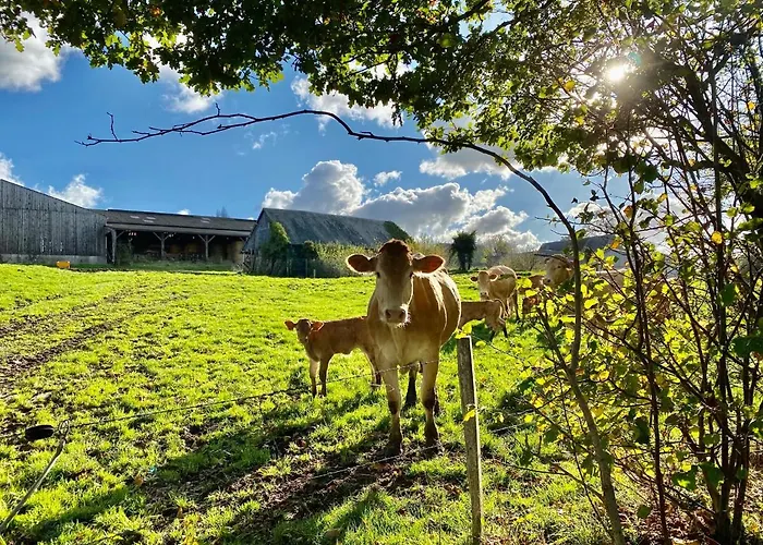 Appartement Greener Pastures - Normandy Self Catering La Chapelle-Engerbold