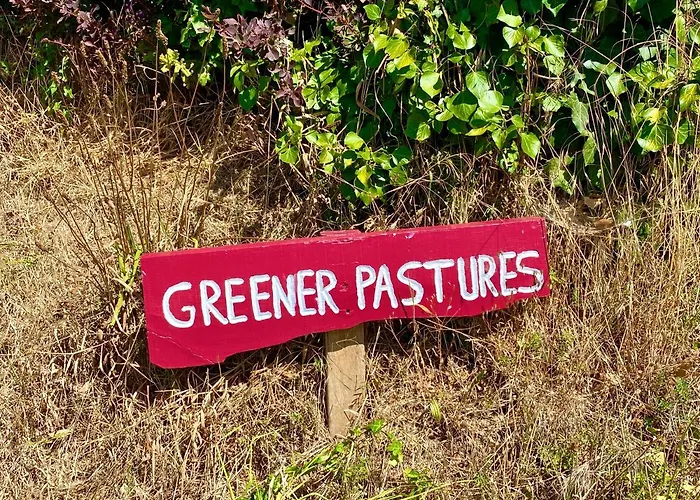 Greener Pastures - Normandy Self Catering * La Chapelle-Engerbold